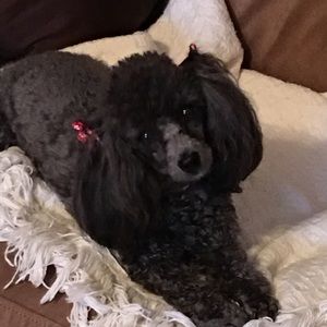 Priceless Hugs from Summer!